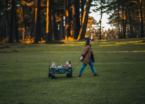 Carros de arrastre (wagon): paseo y diversión, edad y seguridad