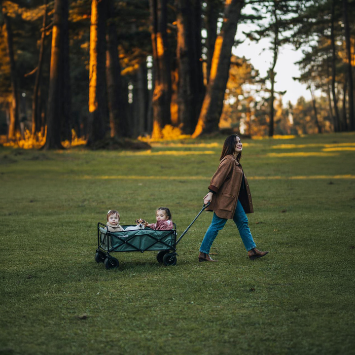 Carros de arrastre (wagon): paseo y diversión, edad y seguridad