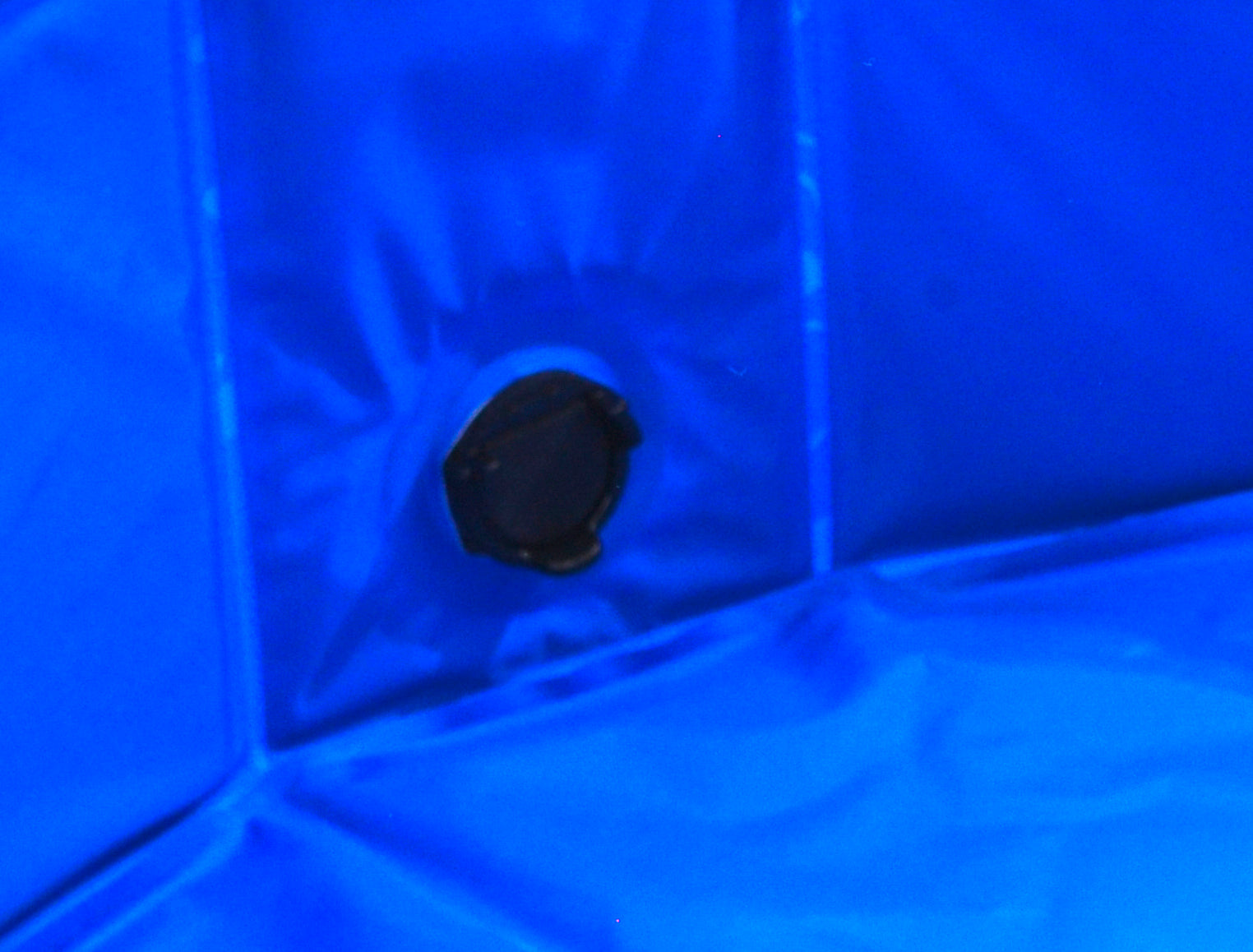 Piscina Bañera Plegable para Mascotas Azul