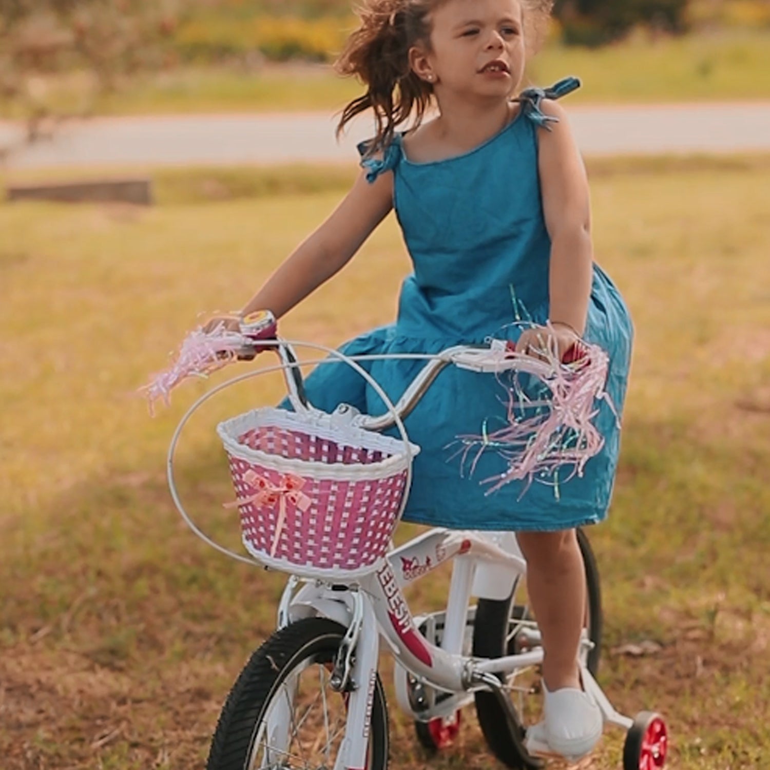 Bicicleta Infantil Queen Aro 16 Morada