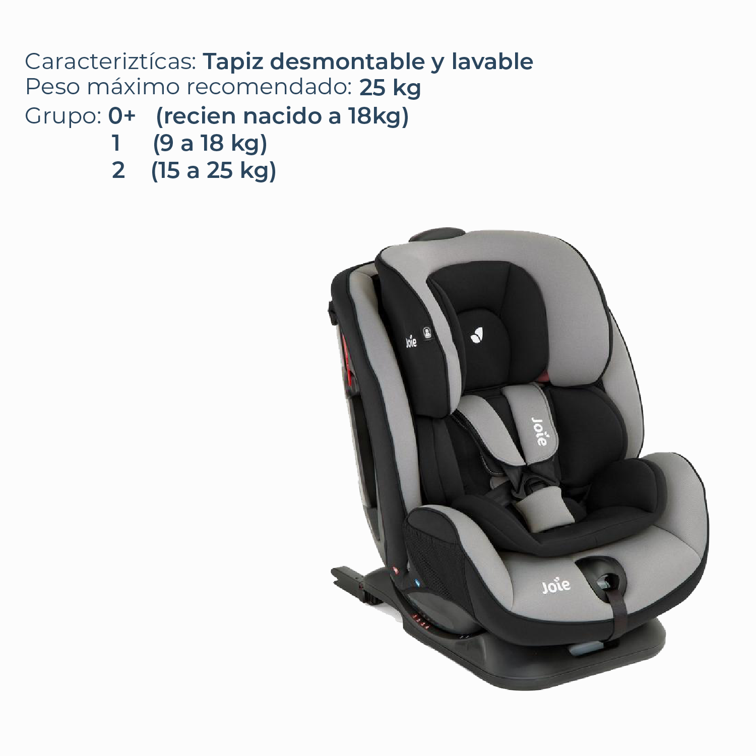 Silla de Auto Stages FX Slate