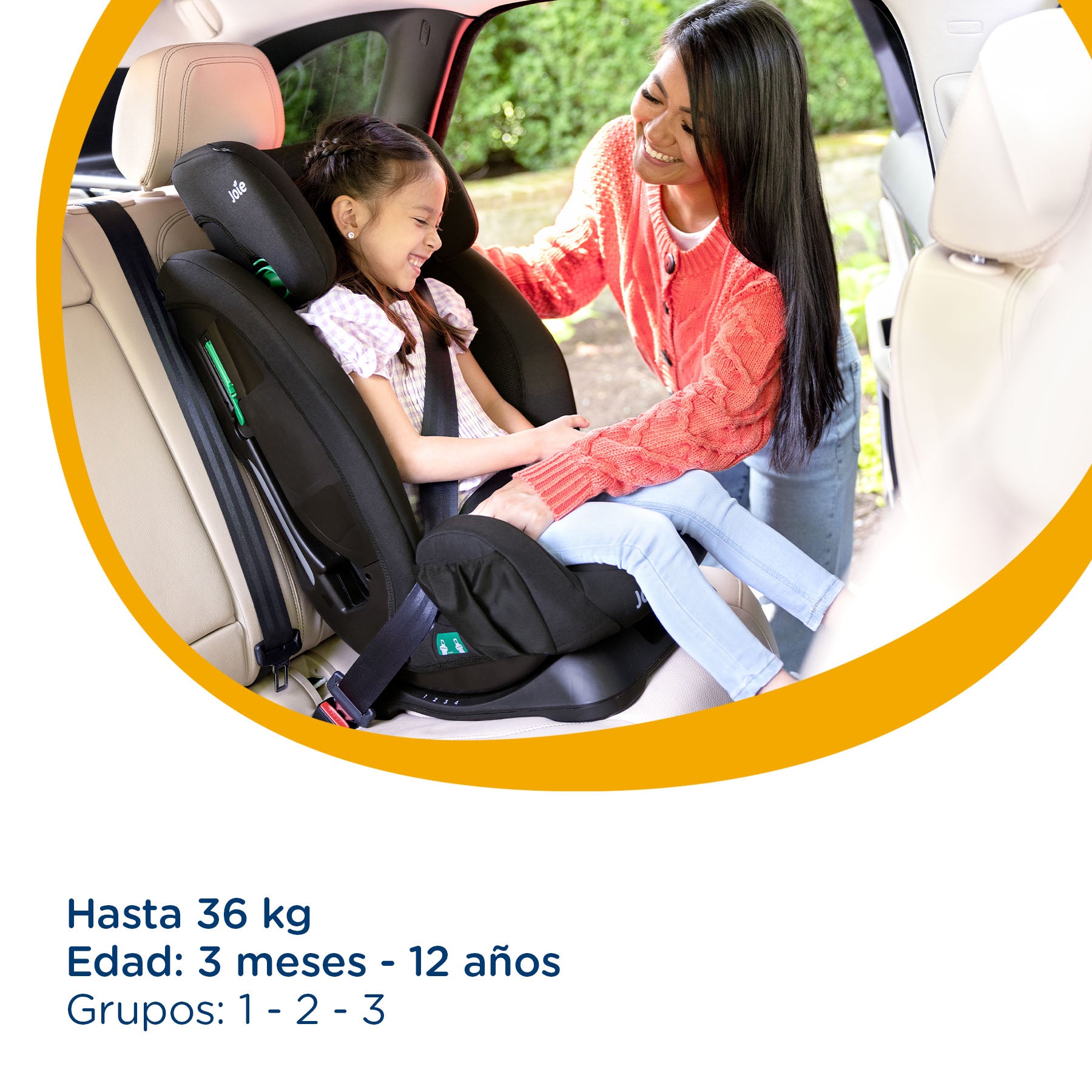 Silla de Auto Combinada Fortifi Coal