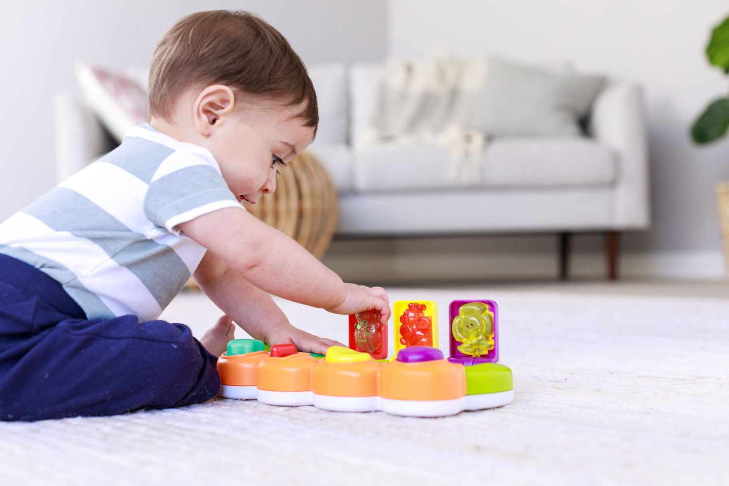 Light and Sound Pop Up Buddy