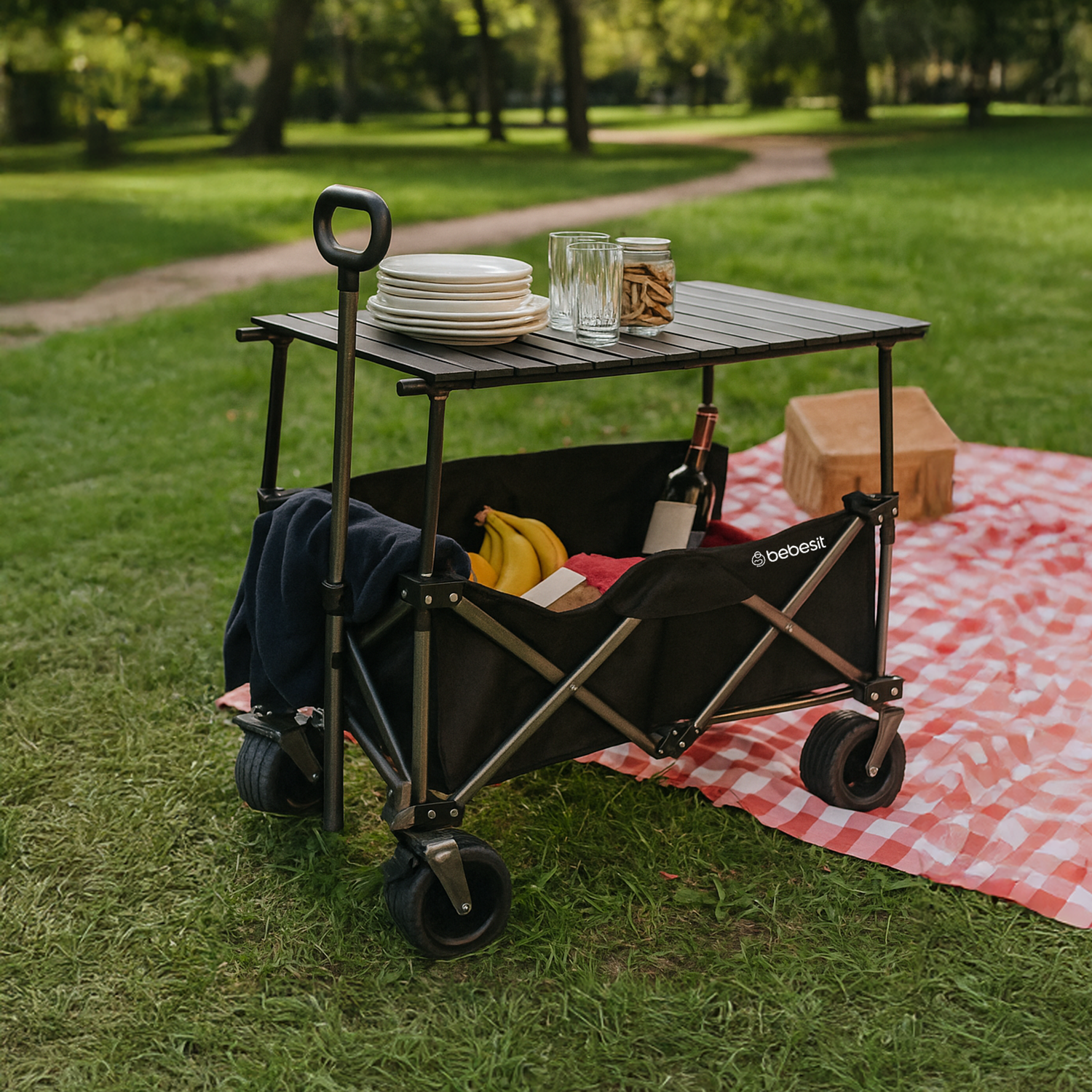 Carro de Arrastre 3 en 1 Outdoor Negro