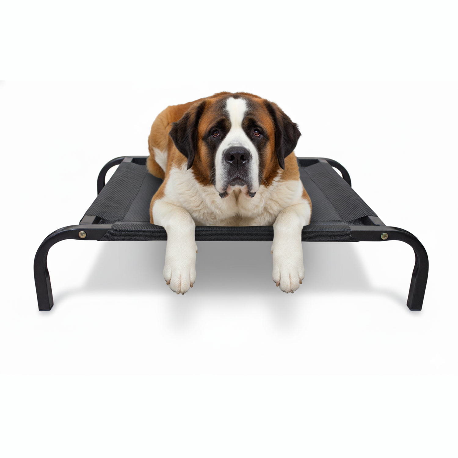 Cama Mascota Catrex L Estructura de Acero Malla Transpirable