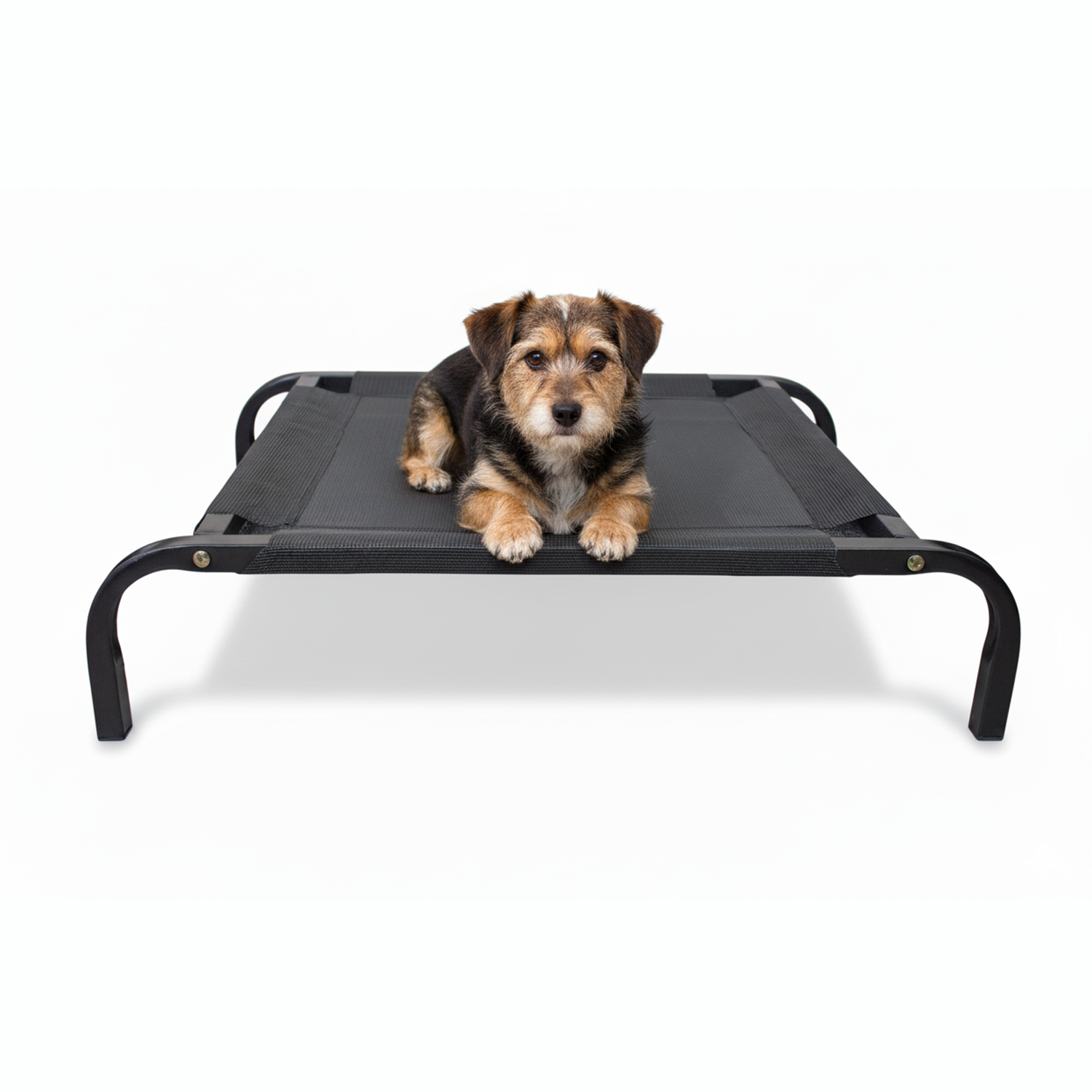 Cama Mascota Catrex M Estructura de Acero Malla Transpirable