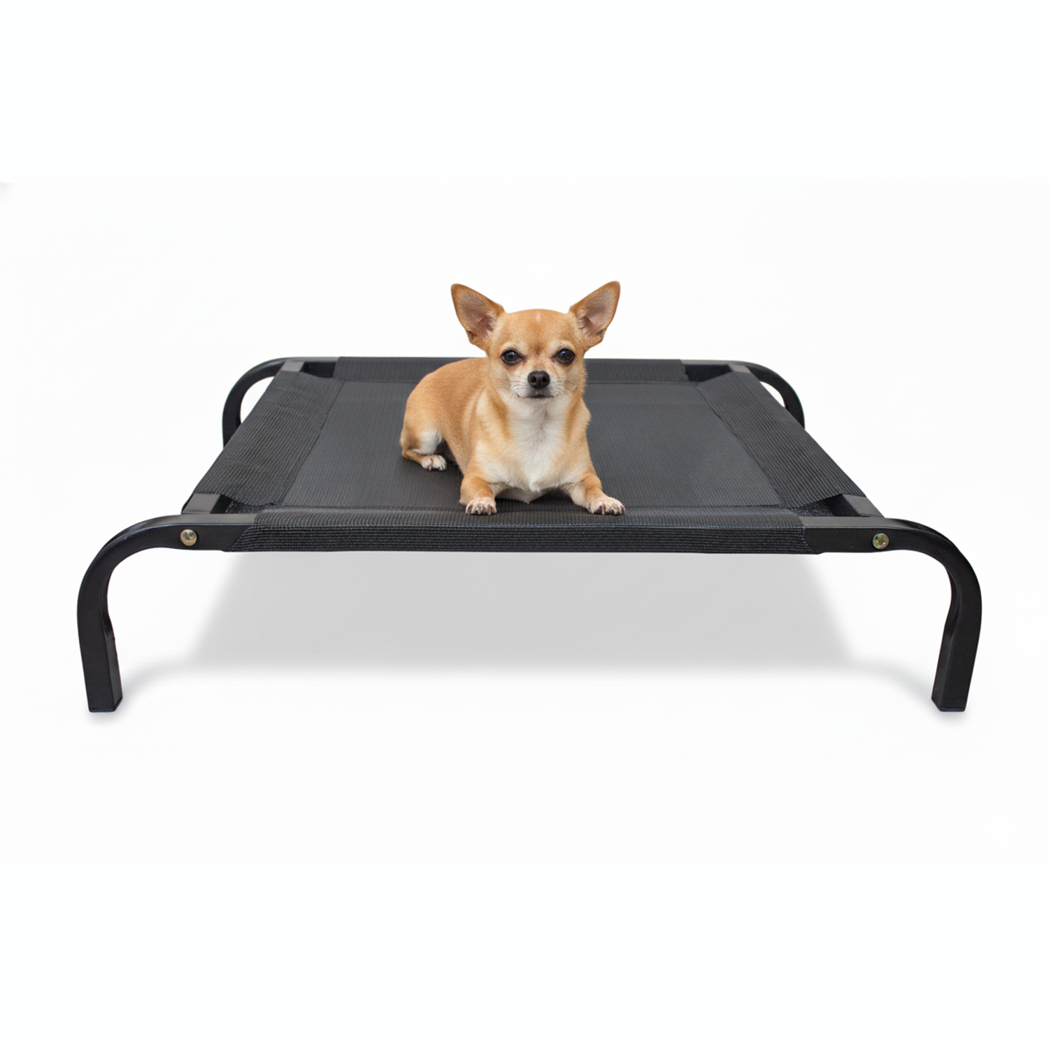 Cama Mascota Catrex S Estructura de Acero Malla Transpirable