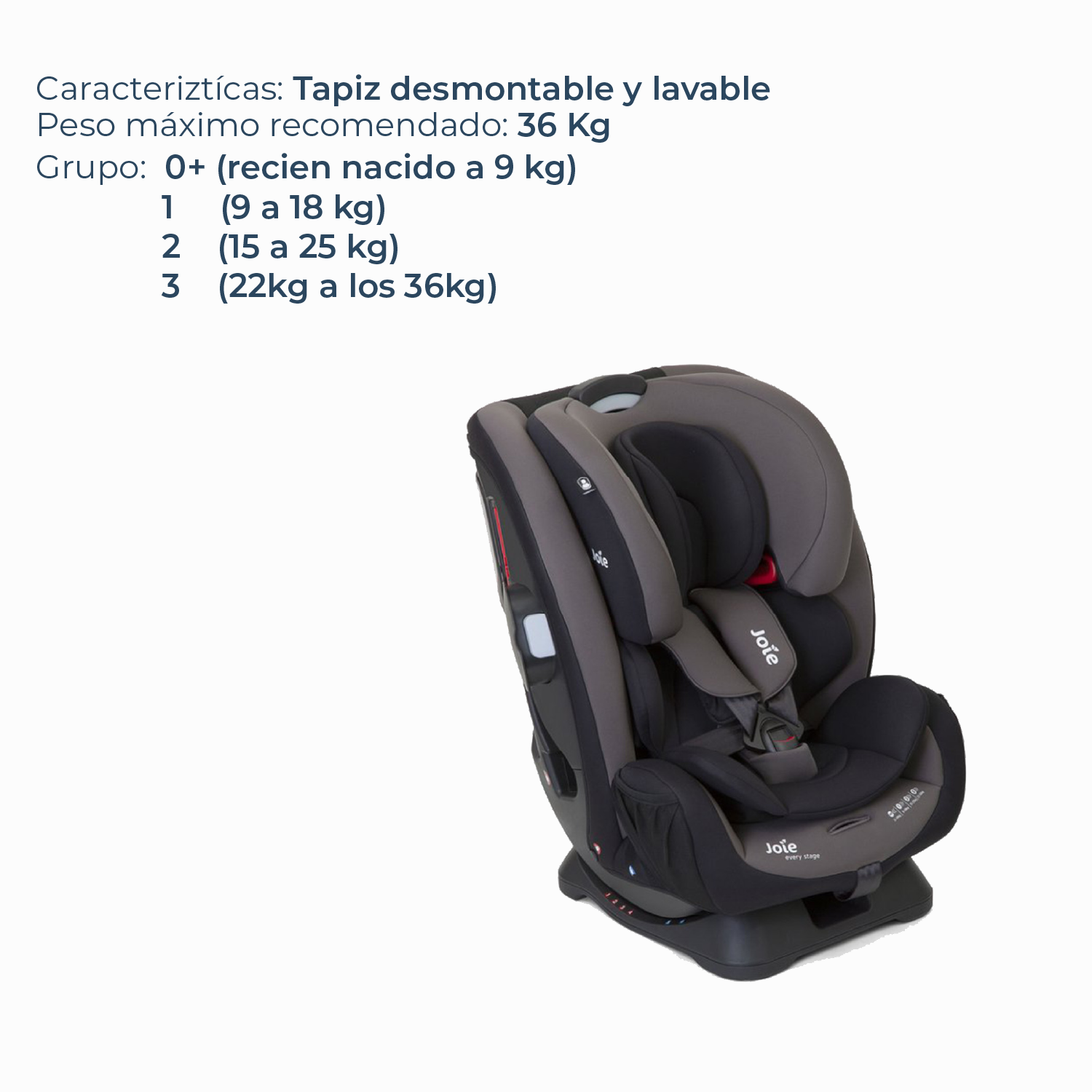 Silla de Auto Convertible Every Stage Ember