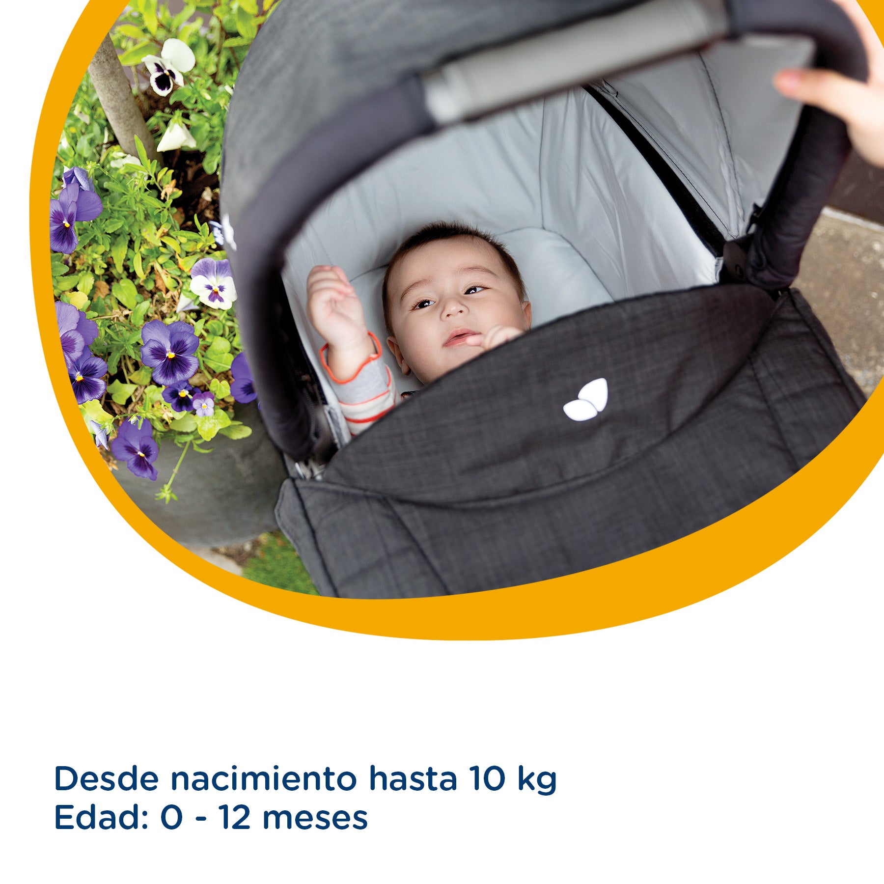 Coche Travel System Chrom Trio Ember Joie