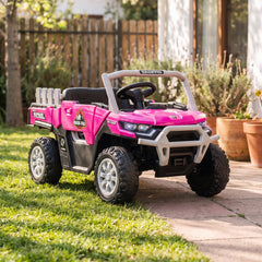 Auto Buggy Camioneta Trex Rosada