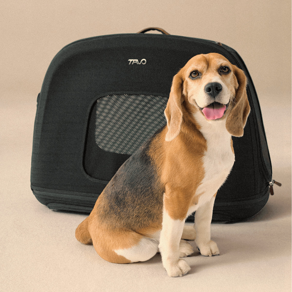Silla Auto Mascotas Crispin M Onyx