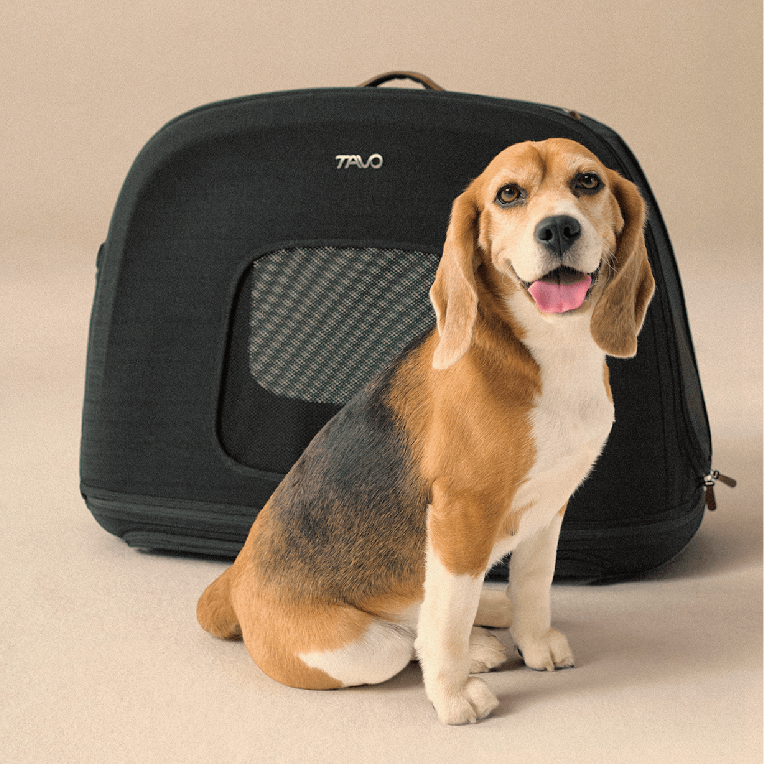 Transporte Mascota Crispin S Onyx