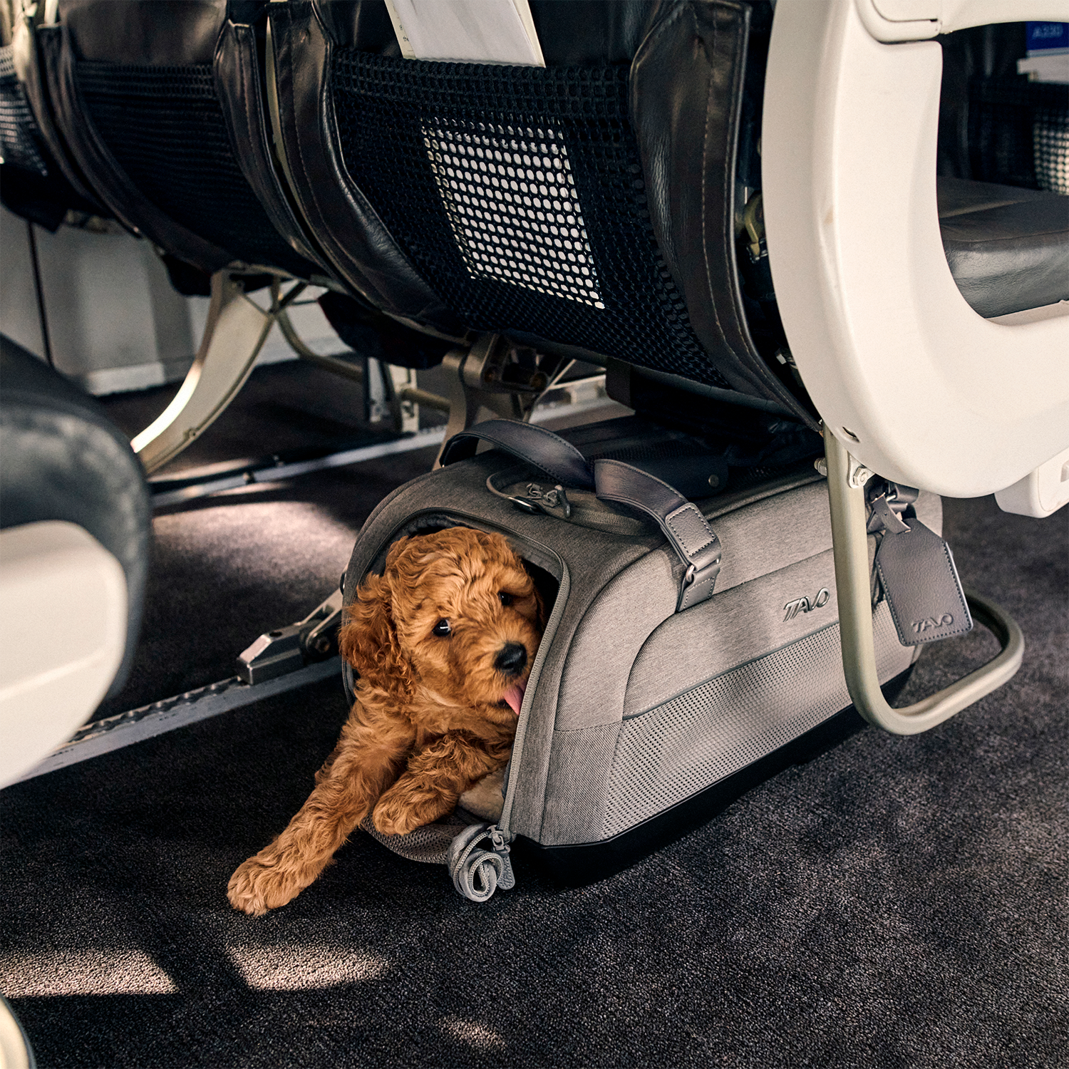 Transporte Mascota Dupree II Onyx